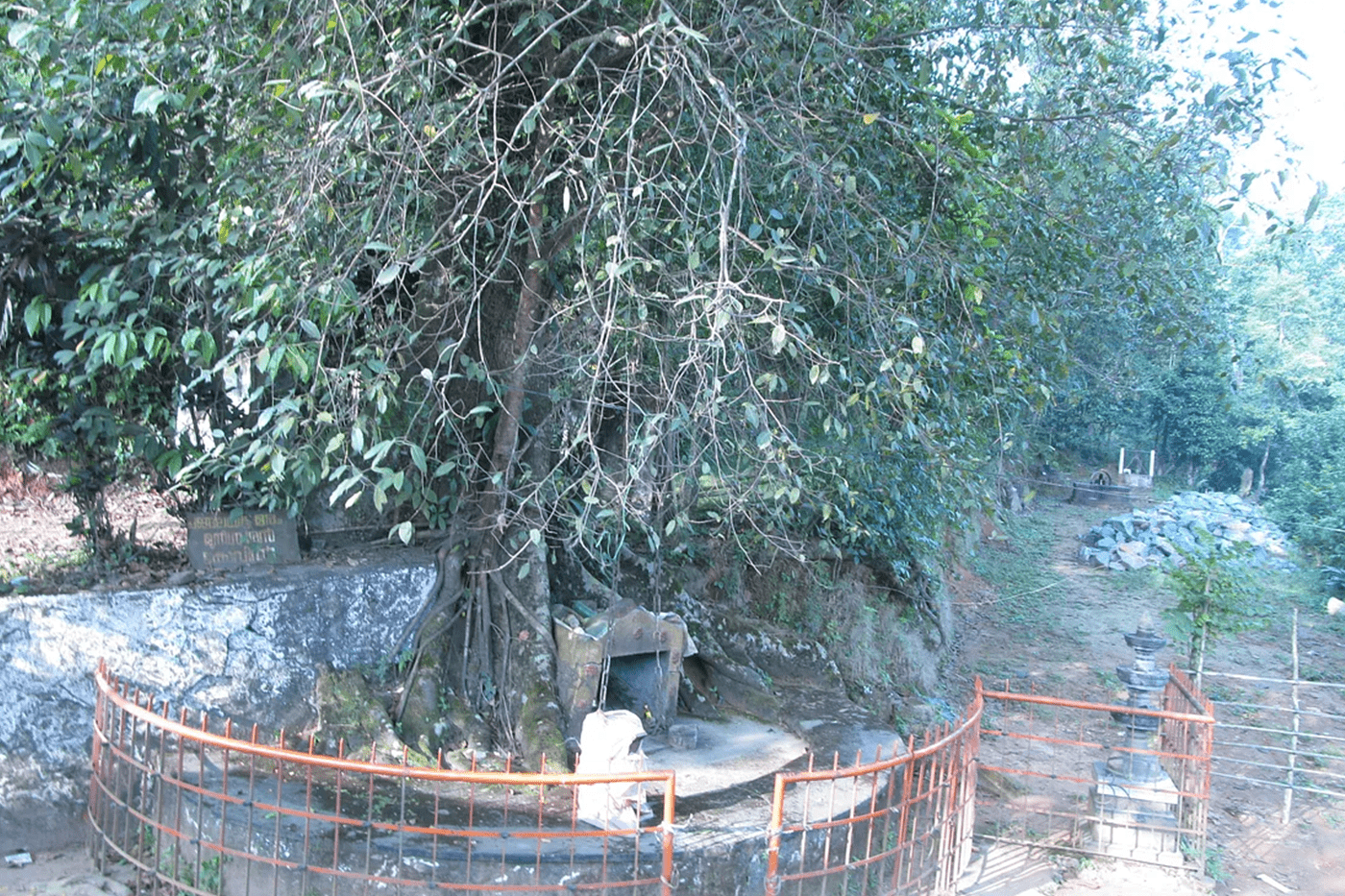 Chain Tree Wayanad