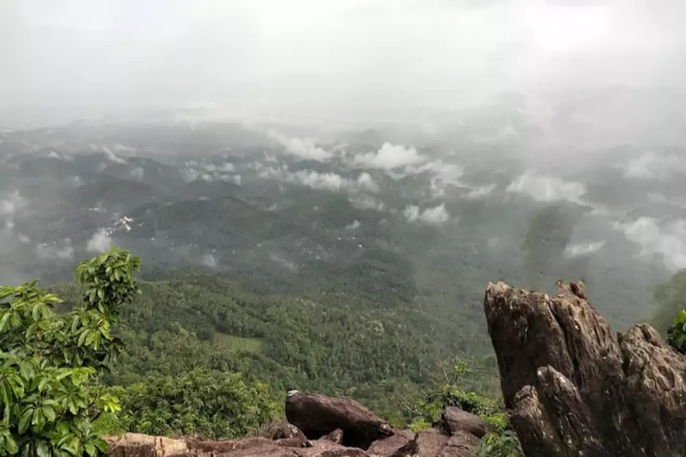 Vayalada view point