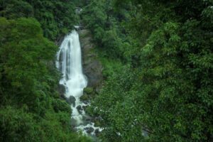 kappimala waterfalls