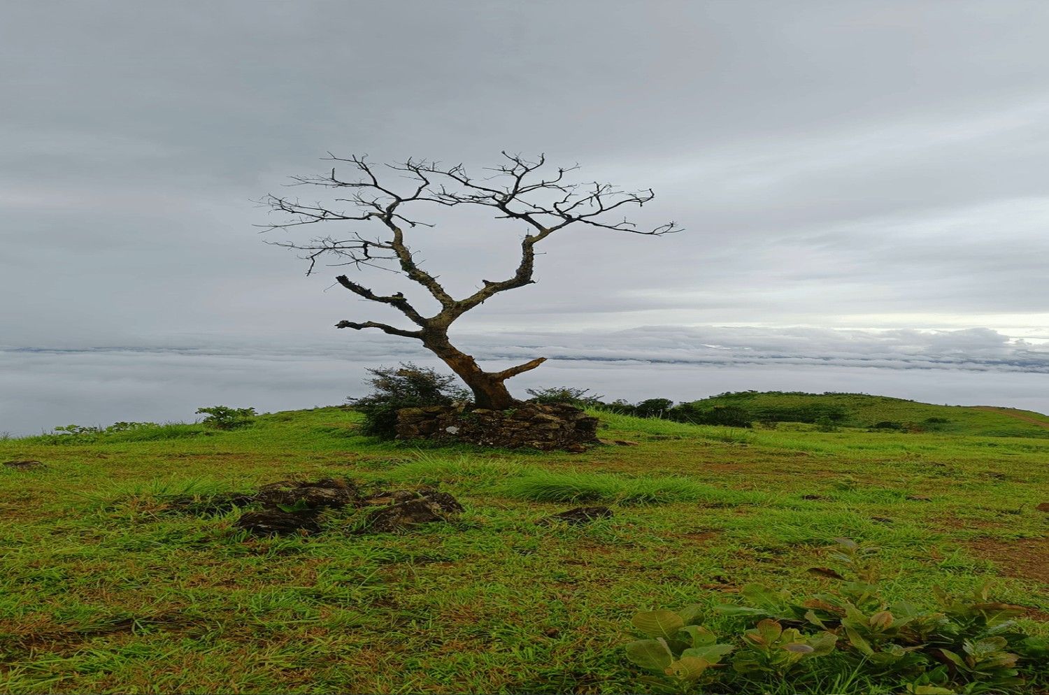 muneeswaran kunnu